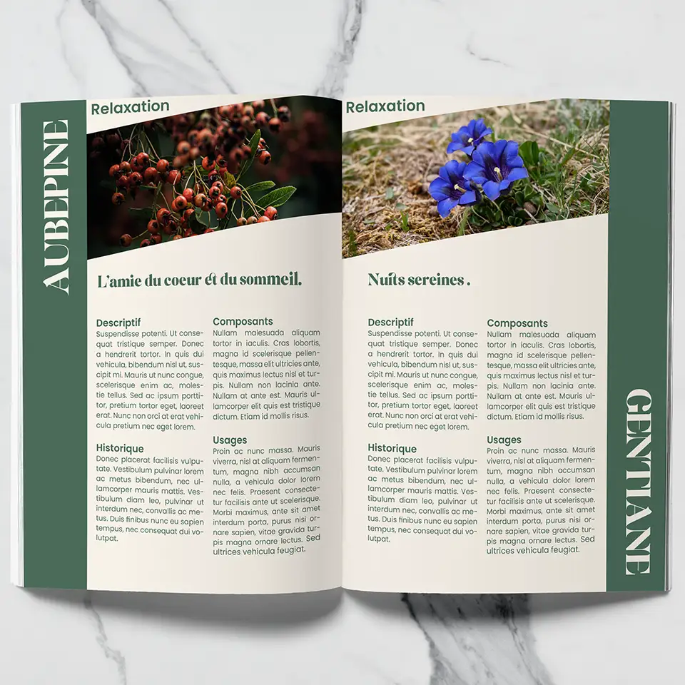 2 deux pages ouvertes avec descriptifs de plantes